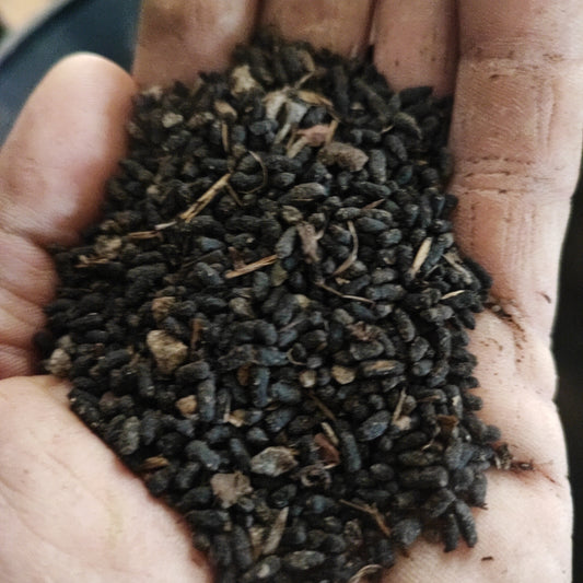 Forest compost.