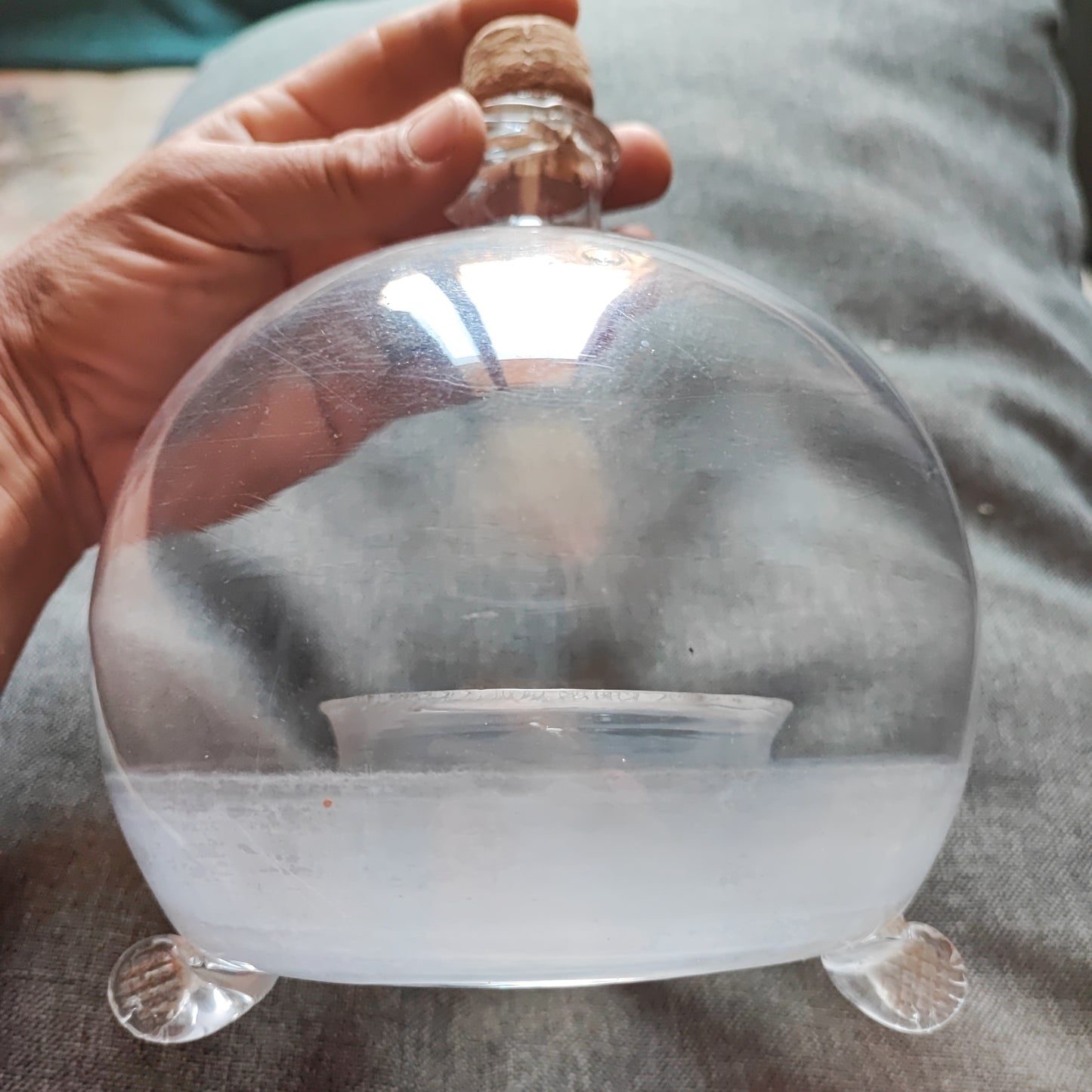 Vintage terrarium