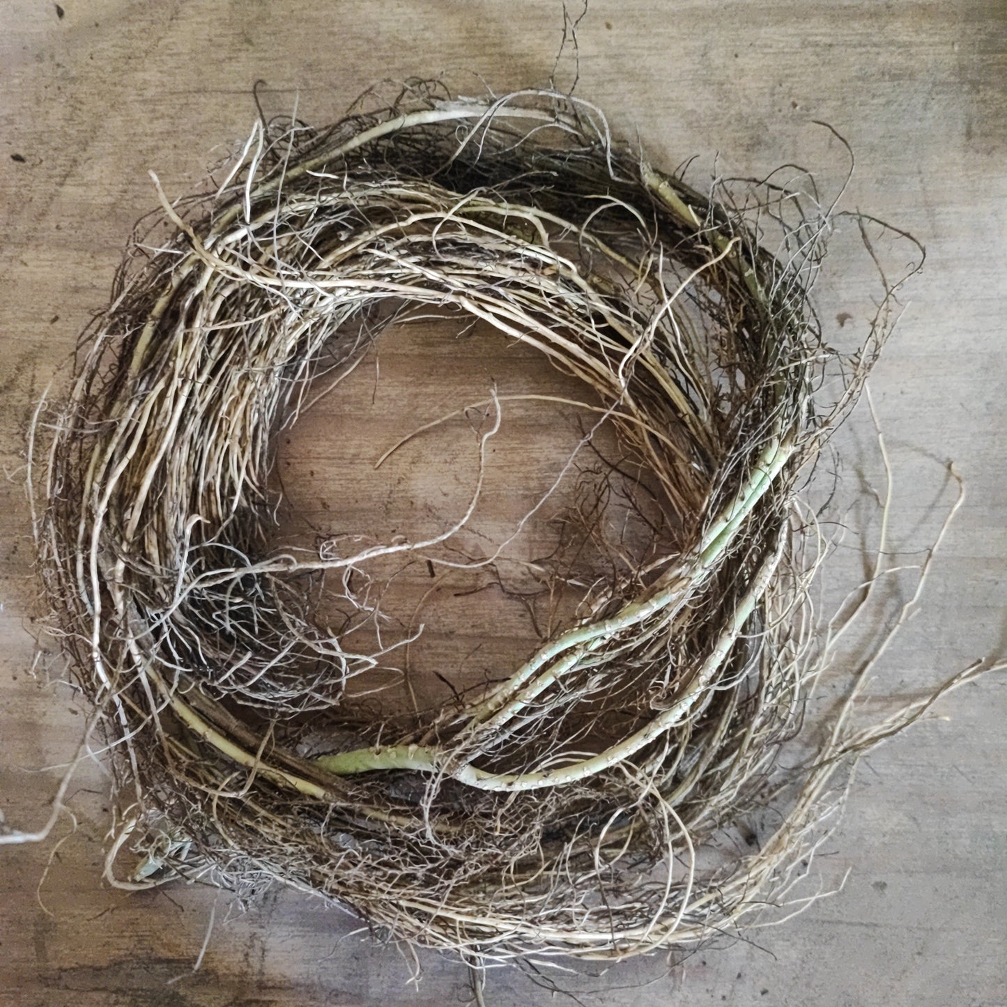 Ash flexible spider roots