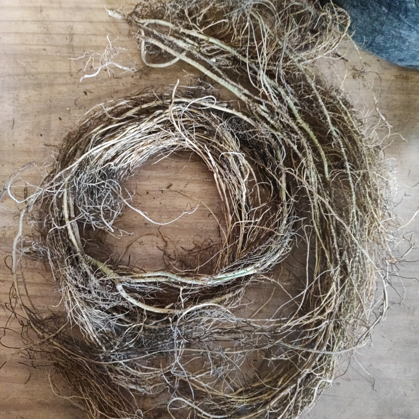 Ash flexible spider roots