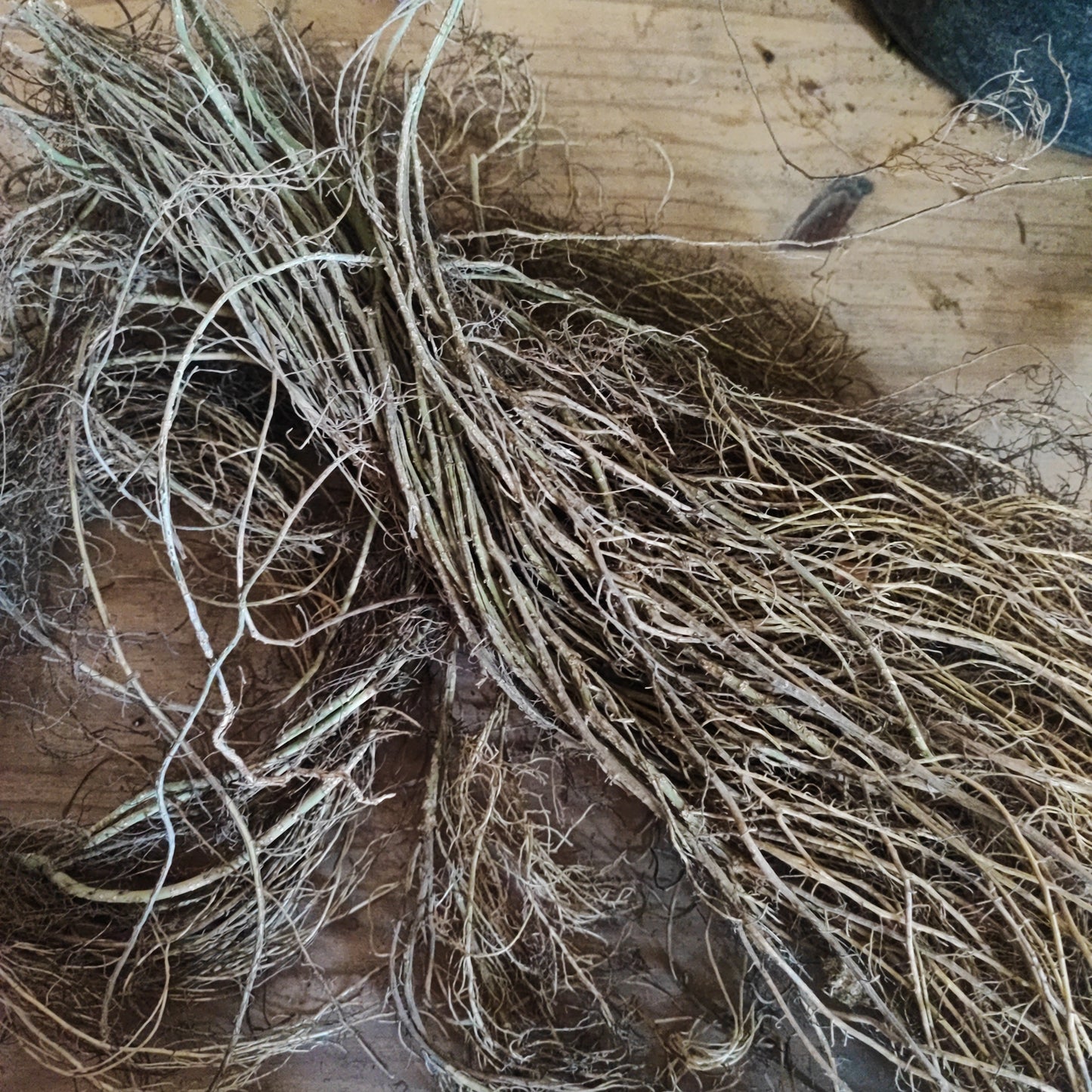 Ash flexible spider roots