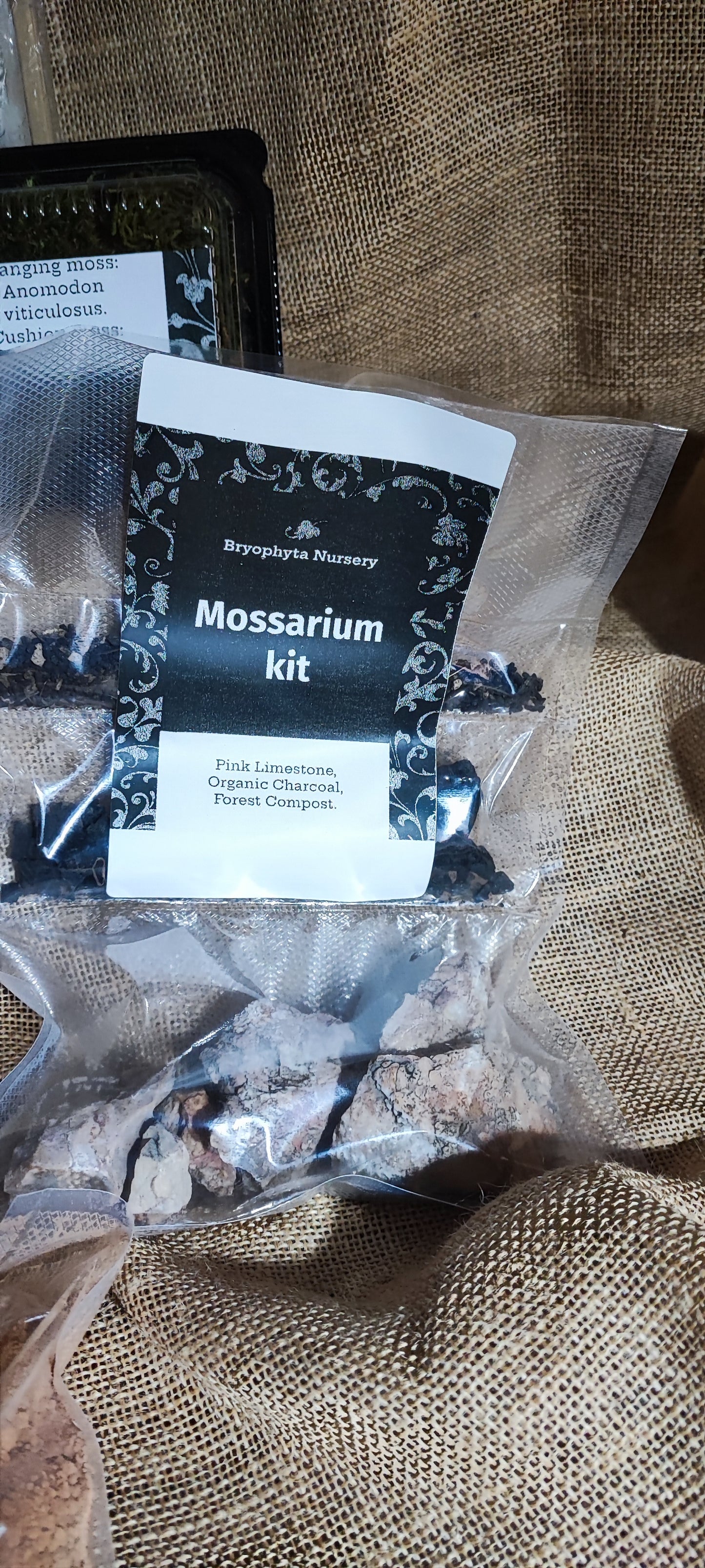 1 L Mossarium Kit. A groovy collection of our moss, lichen, and Selaginella with red clay substrate, rocks, and gravel.