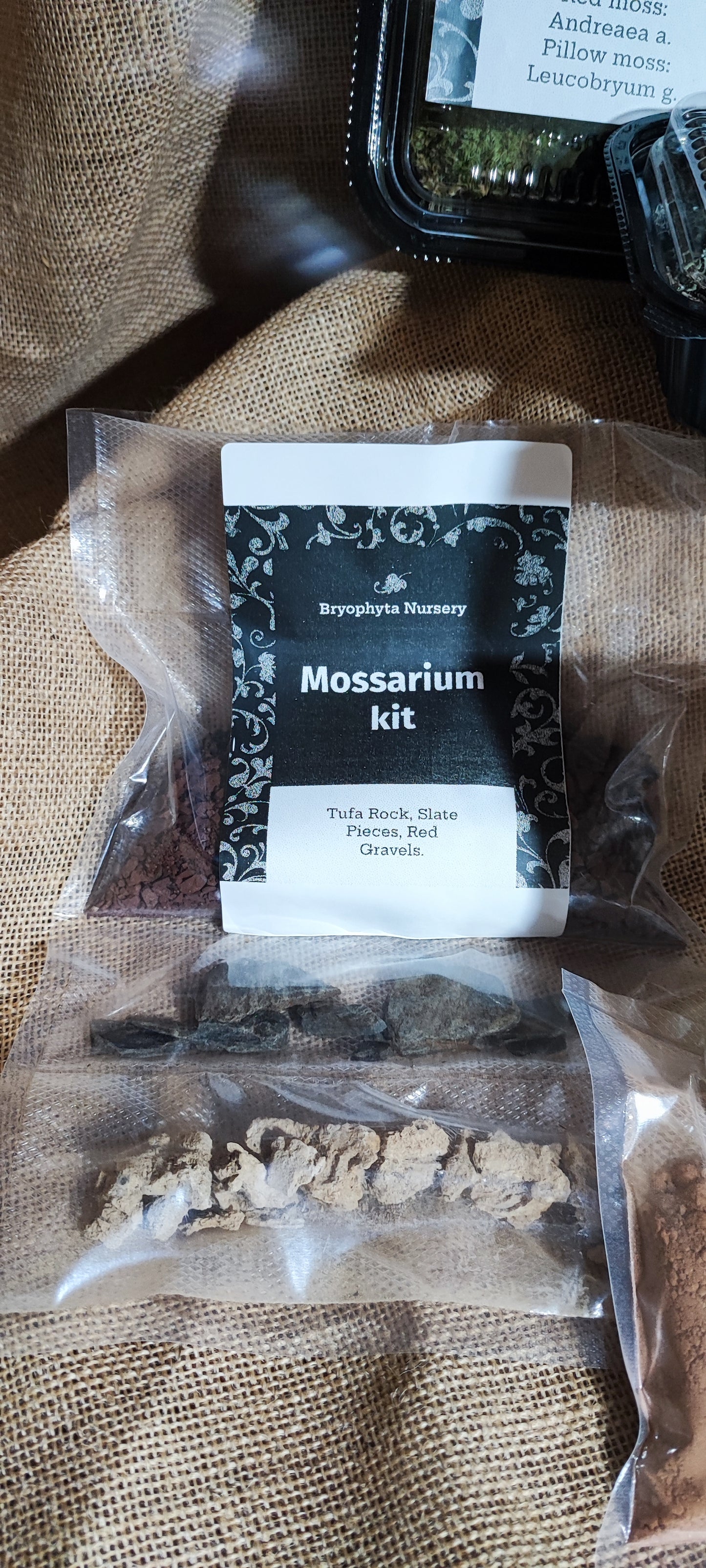 1 L Mossarium Kit. A groovy collection of our moss, lichen, and Selaginella with red clay substrate, rocks, and gravel.