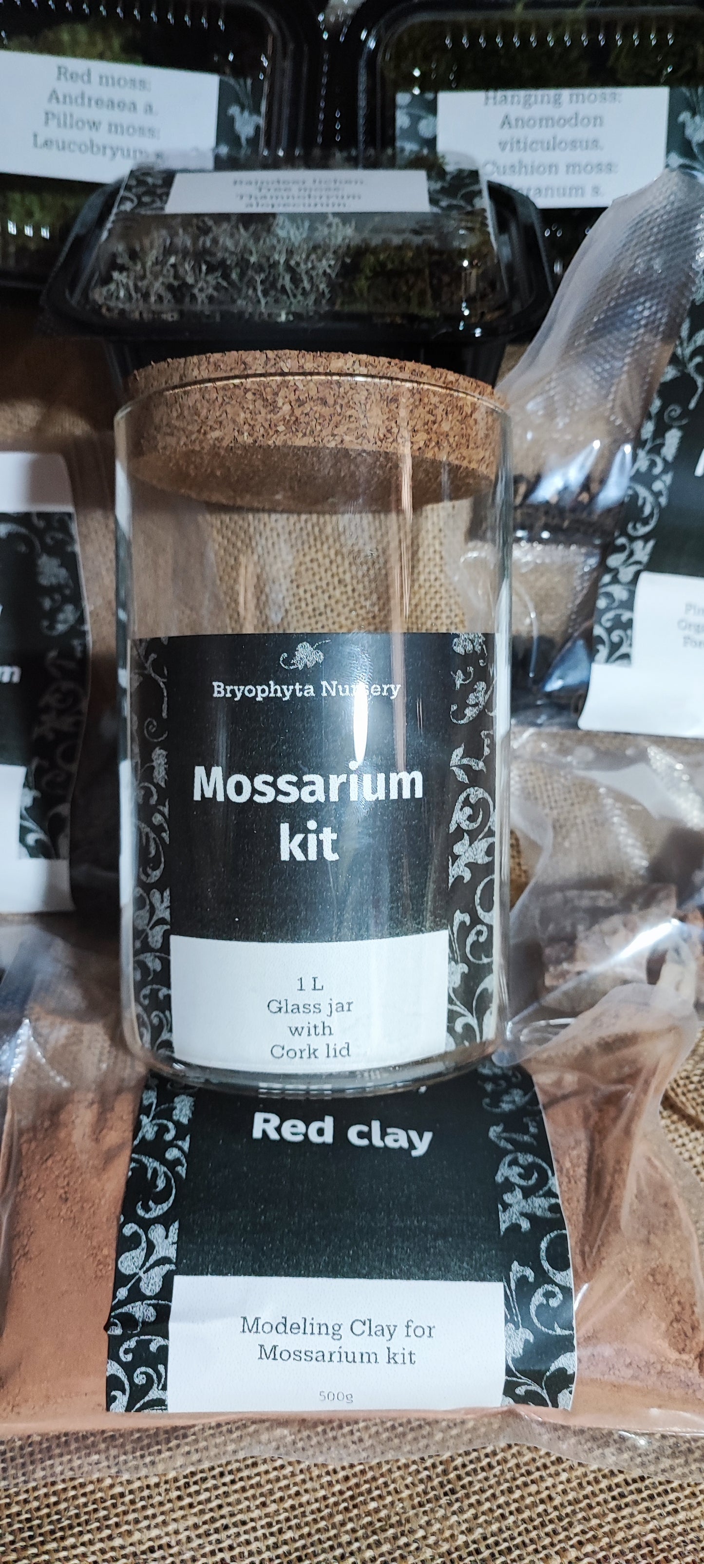 1 L Mossarium Kit. A groovy collection of our moss, lichen, and Selaginella with red clay substrate, rocks, and gravel.