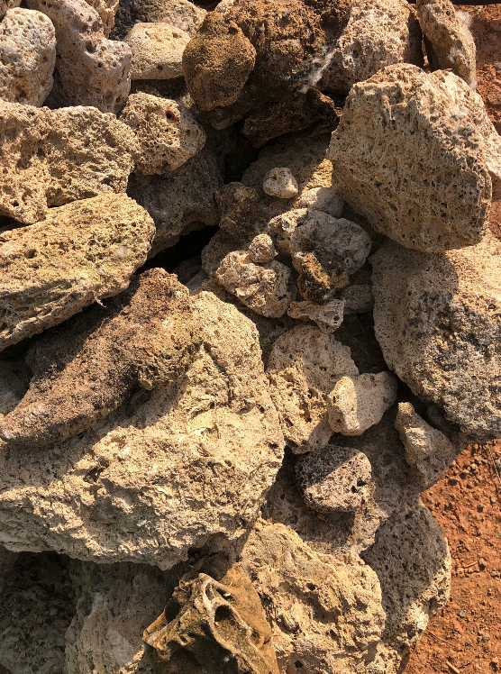 French natural Tufa rock for terrariums, aquarium, rock gardens, attaching moss and plants to tufa rock