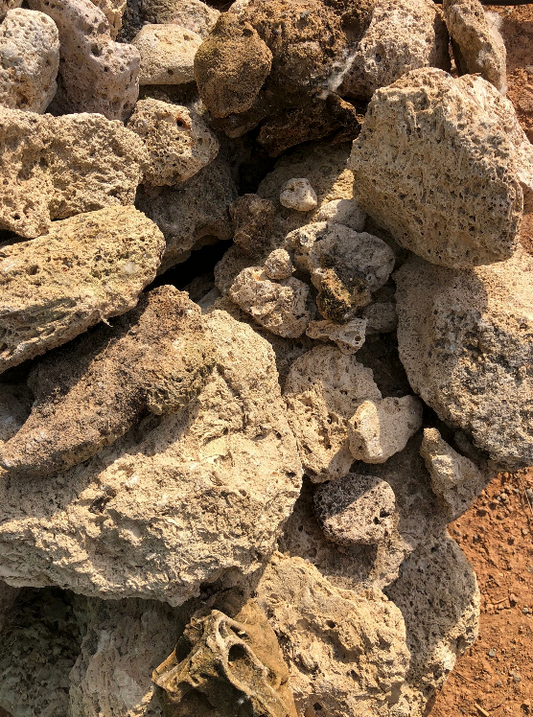 French natural Tufa rock for terrariums, aquarium, rock gardens, attaching moss and plants to tufa rock