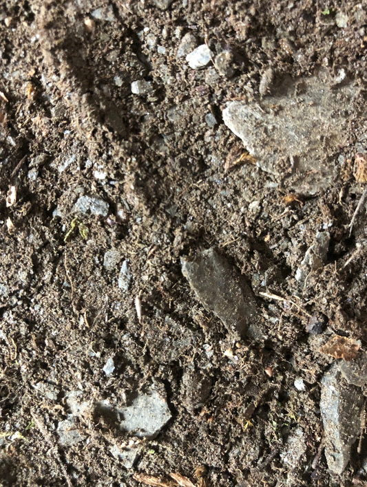 black slate limestone clay soil. terrarium substrates