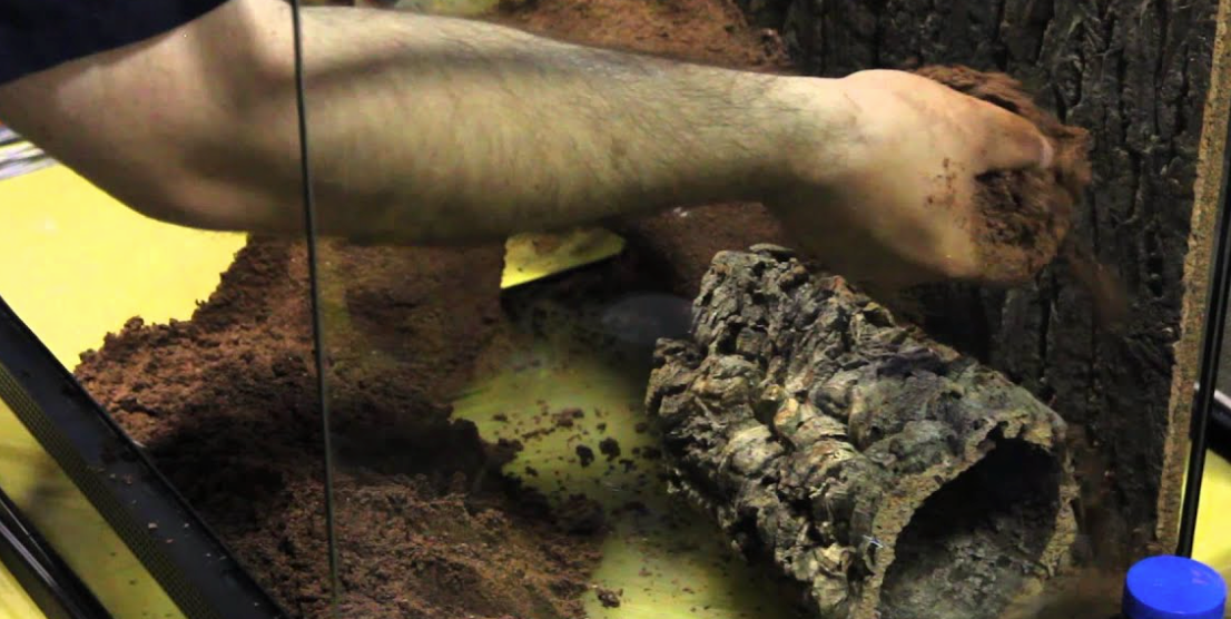 Organic terrarium clay with dehydrated goat milk, designed for moss, terrarium plants perfect for making moss scapes in terrariums