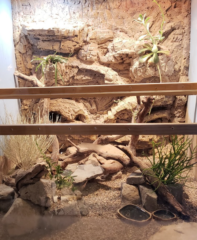 Organic terrarium clay with dehydrated goat milk, designed for moss, terrarium plants perfect for making moss scapes in terrariums