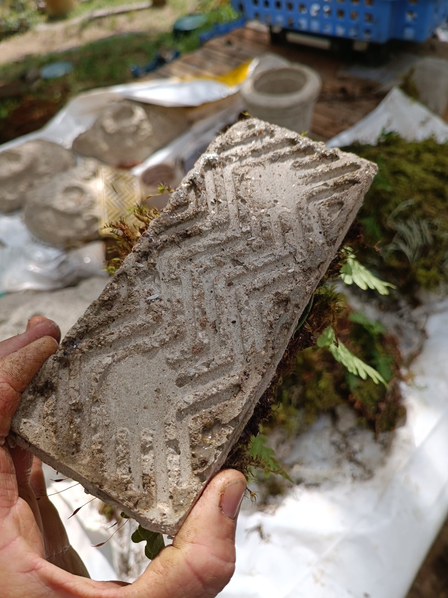 Hypertufa Tiles with moss carpet with ferns, for terrariums and vertical backdrop living walls.