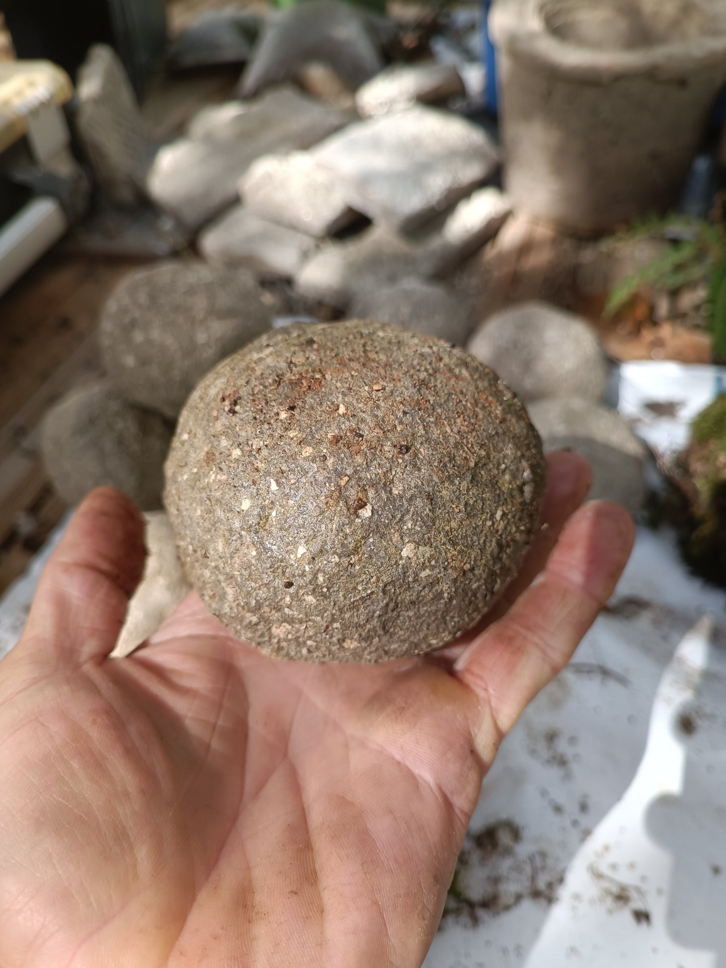 Hypertufa moss-ball with ferns, table centerpiece, decoration, desk art