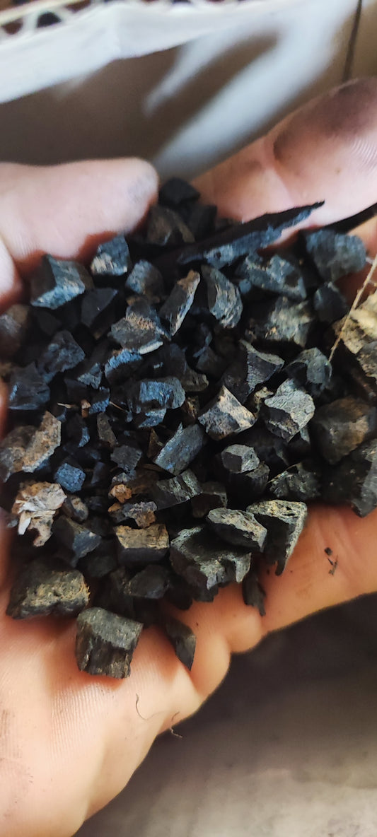 100g charcoal natural and organic. An essential part of your terrarium substrate