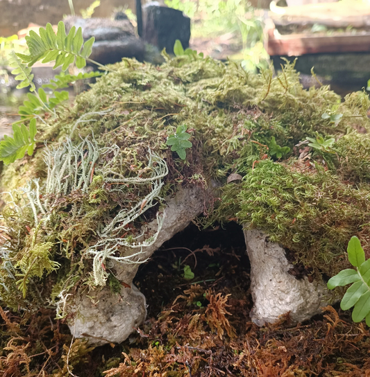 Pet caves with moss and ferns for terrariums made from hyper tufa.