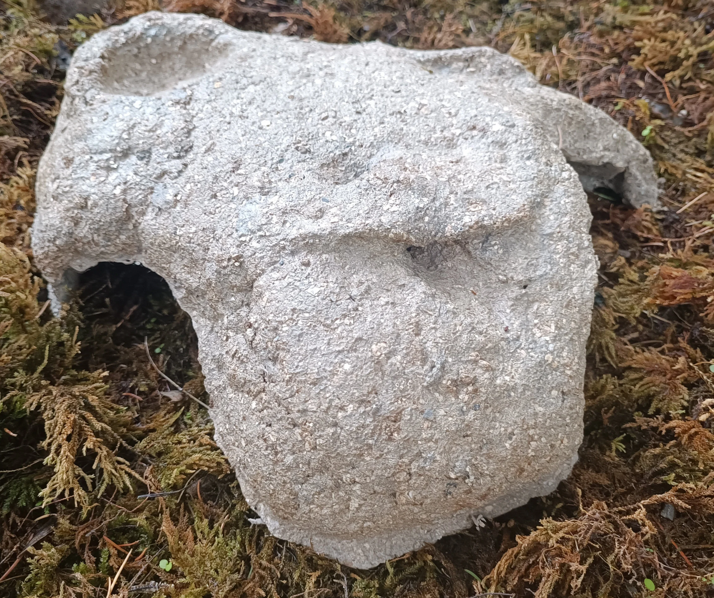 Pet caves with moss and ferns for terrariums made from hyper tufa.