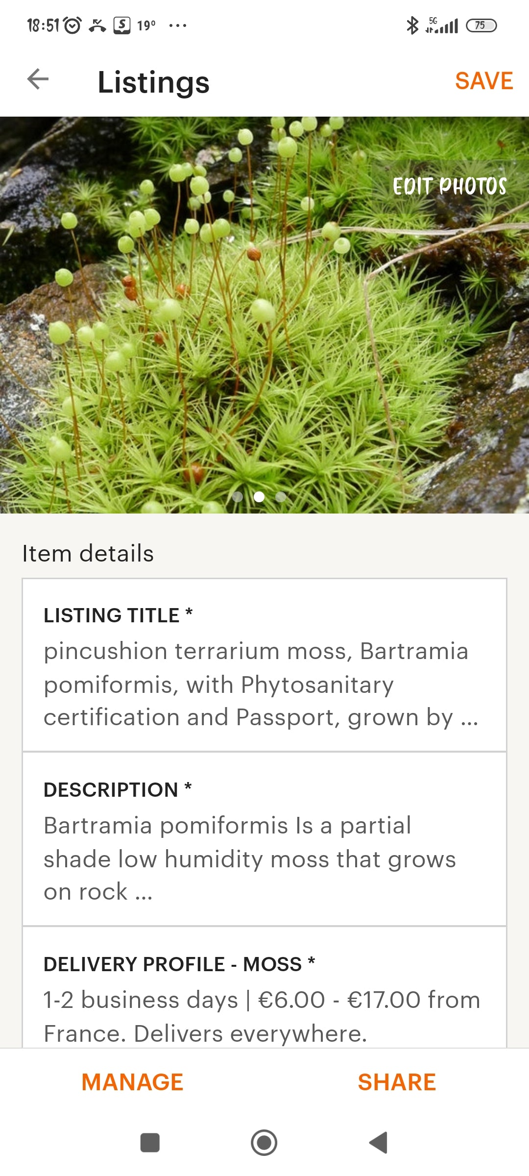 Pincushion moss, Bartramia pomiformis